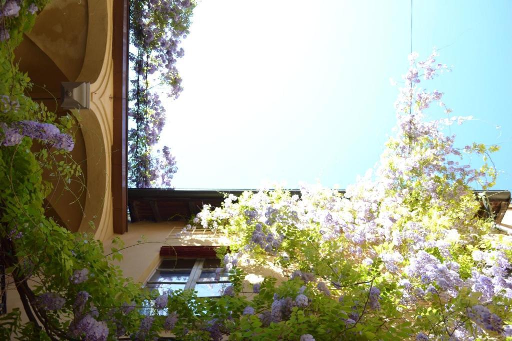 Palazzo Dalla Rosa Prati 파르마 외부 사진